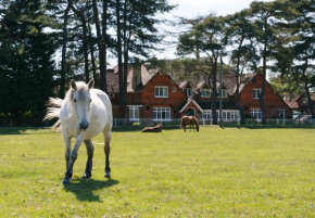 Beaulieu Hotel